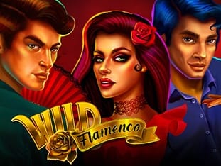 Wild Flamenco